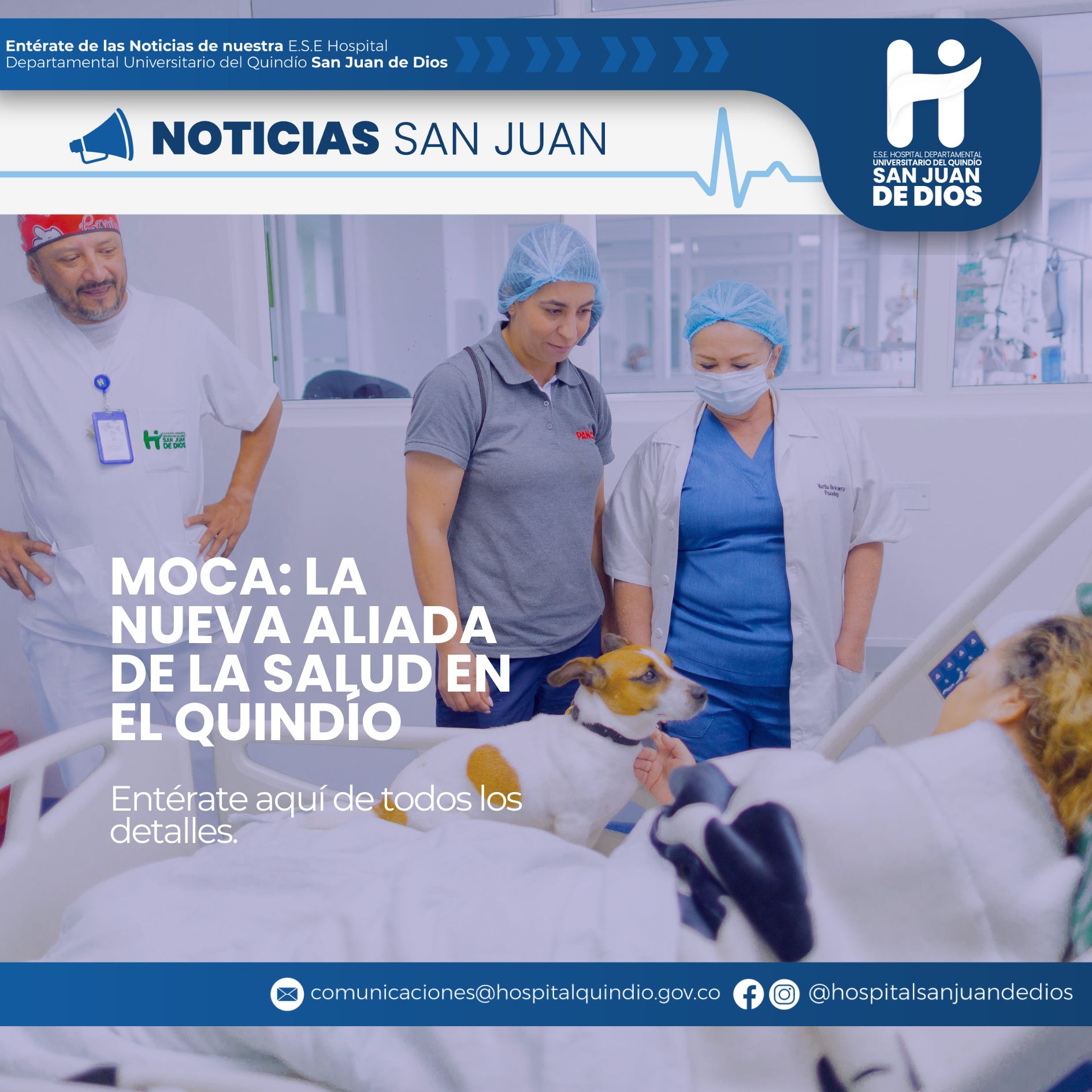 TRATAMIENTO CON ANIMALES HOSPITAL SAN JUAN DE DIOS DE ARMENIA